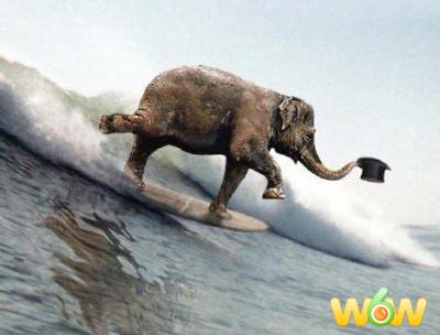 ��� ���� �� ����� ���� ..������� �����.. ���� ���� ��� �����