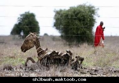 ��� �� ����� ��� ������ �� ��� ���� ���� ����