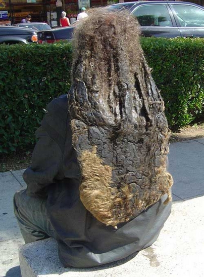 ������ ���� �� ���� ����� ��� ������� ���� ����� ���